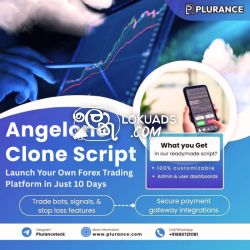 Why Should Investors Consider WhiteLabel Angelone Clone Software from Plurance?