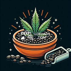 The Unique Terpene Profile of Jack Herer Marijuana Seeds