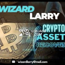 Ethical Hackers for Hire Online/Hire a Hacker to Recover Lost or Stolen Crypto/Bitcoin/Wizard Larry Recovery