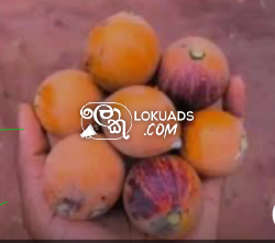 The most powerful spiritual man in Nigeria +2348157855288