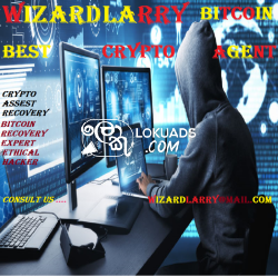 Best Cryptocurrency Recovery Company/Hire Wizard Larry Recovery