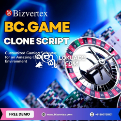 Smart Solutions for BC.Game Clone Development Success