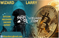 Ethical Bitcoin Hacker for Hire/Genuine Cryptocurrency Hacker for Hire/Wizard Larry Recovery