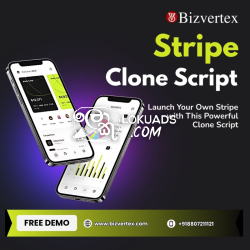 Launch Your Own Stripe with This Powerful Clone Script